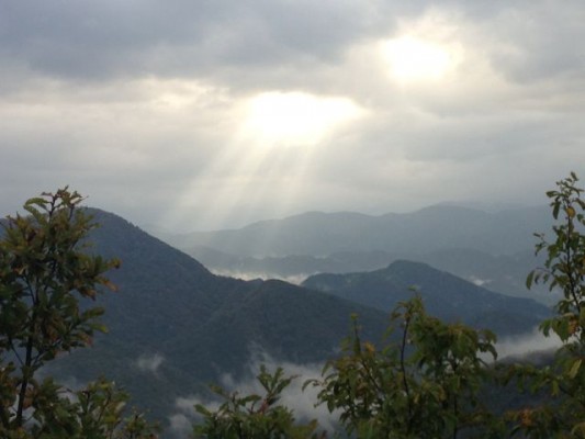 白山 バランス