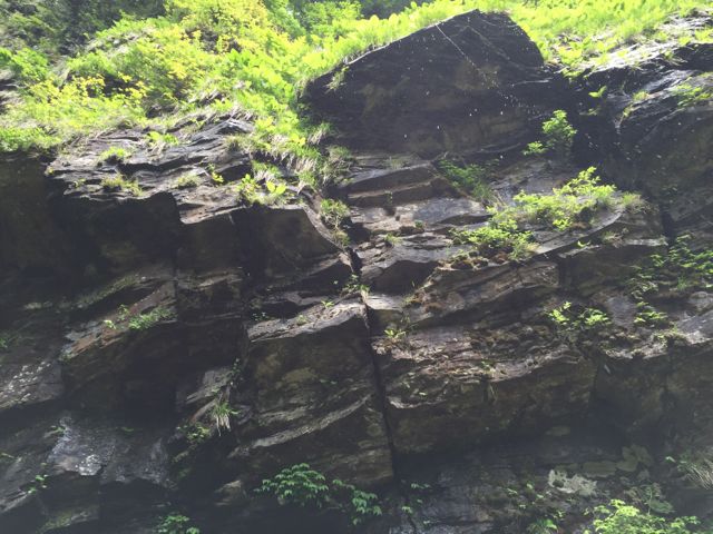 白山5