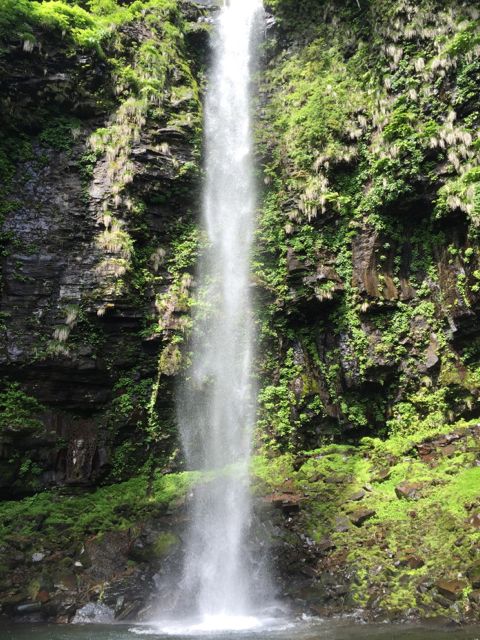 白山4