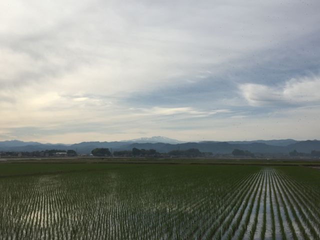 白山