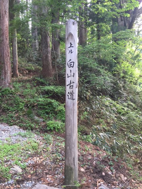 白山13