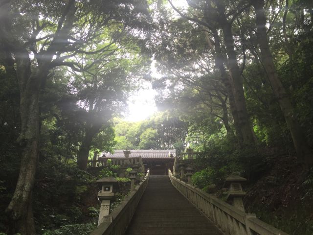 長谷さん