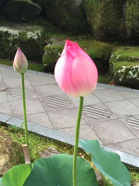 7-10
