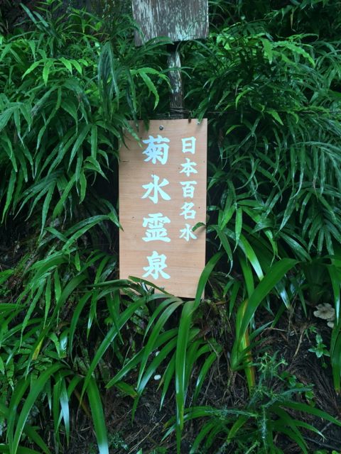 福井2
