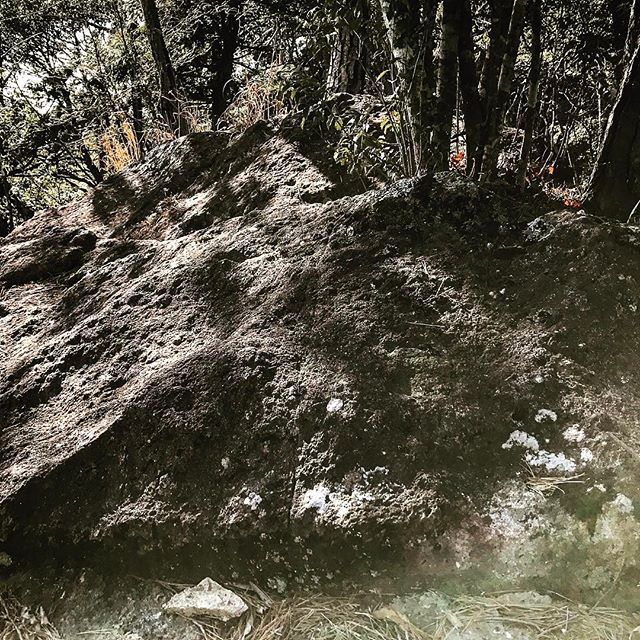 煙厳山入り️^o^