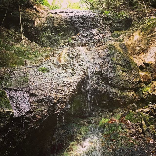 音連の滝️^o^