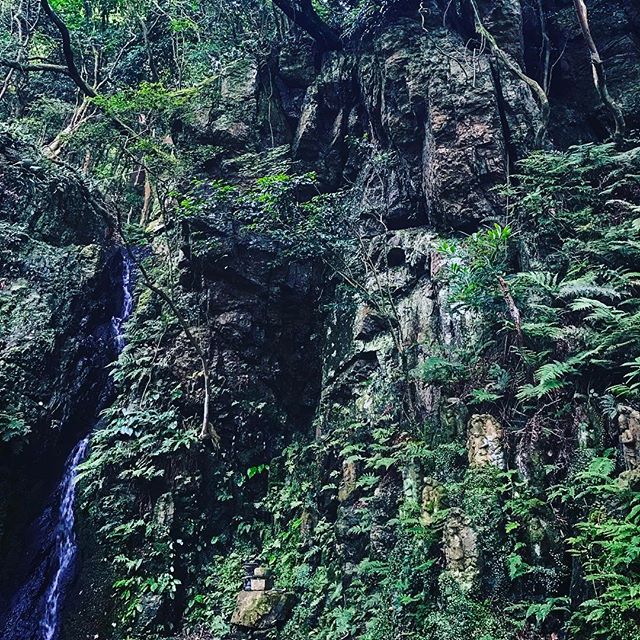 夕方の散歩️^o^