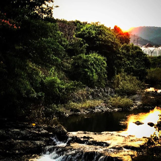 神宮寺川、井伊谷の夕暮れ️^o^
