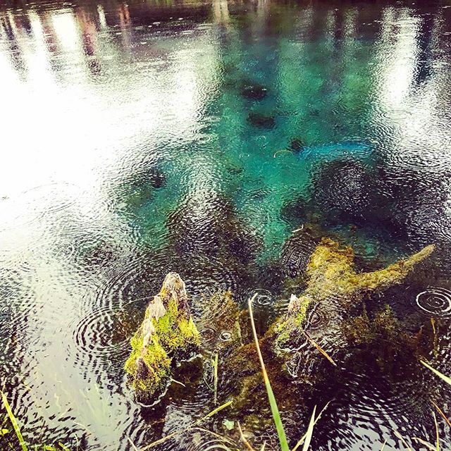 富士山湧水️^o^