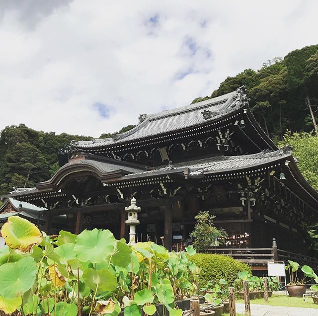 明星山 三室戸寺️^o^