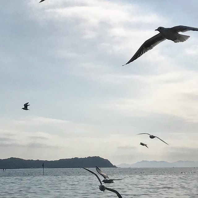 飛んでます️^o^