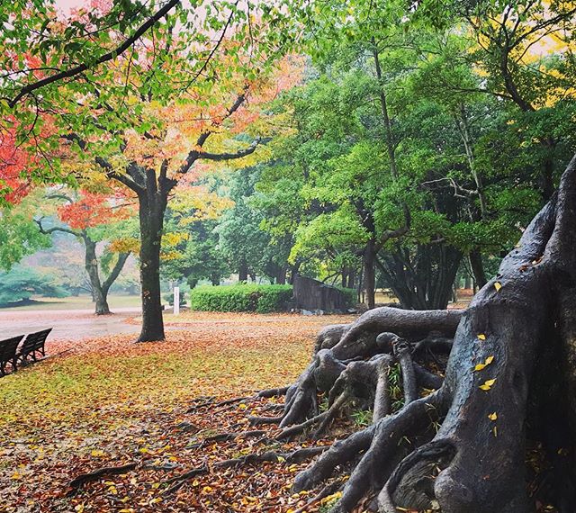 シトシト☂️土偶展開催中️