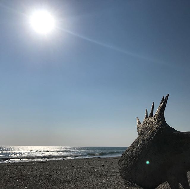 な、謎の物体️