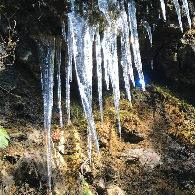 レインボー氷柱️