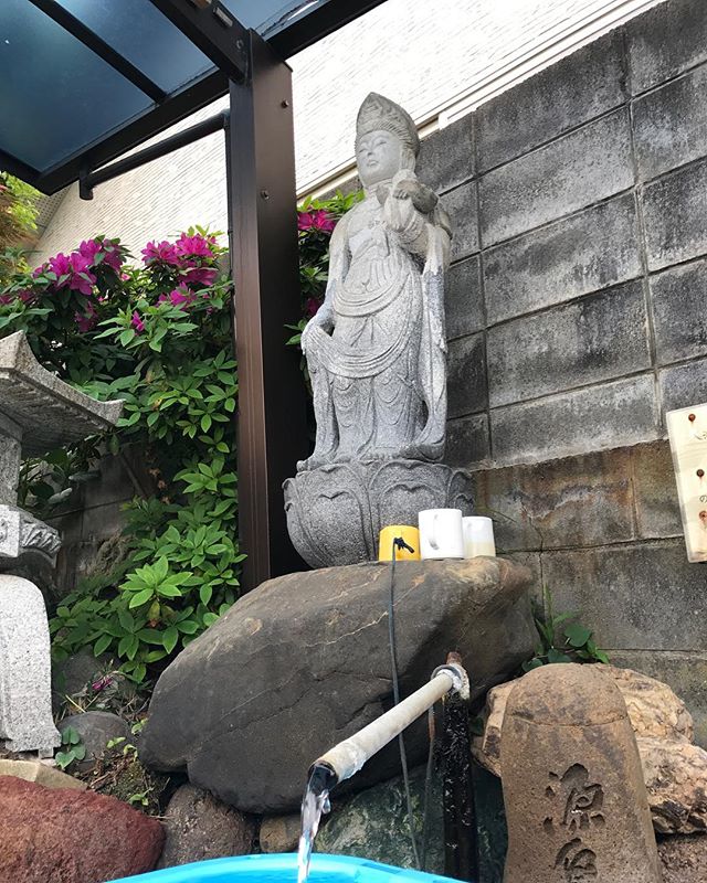 白山泉脈霊泉️(^○^)