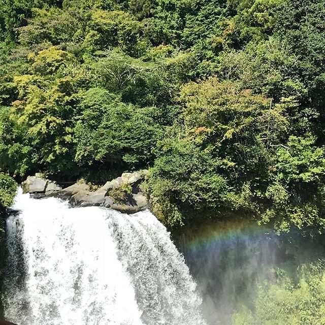 レインボー️(^^)